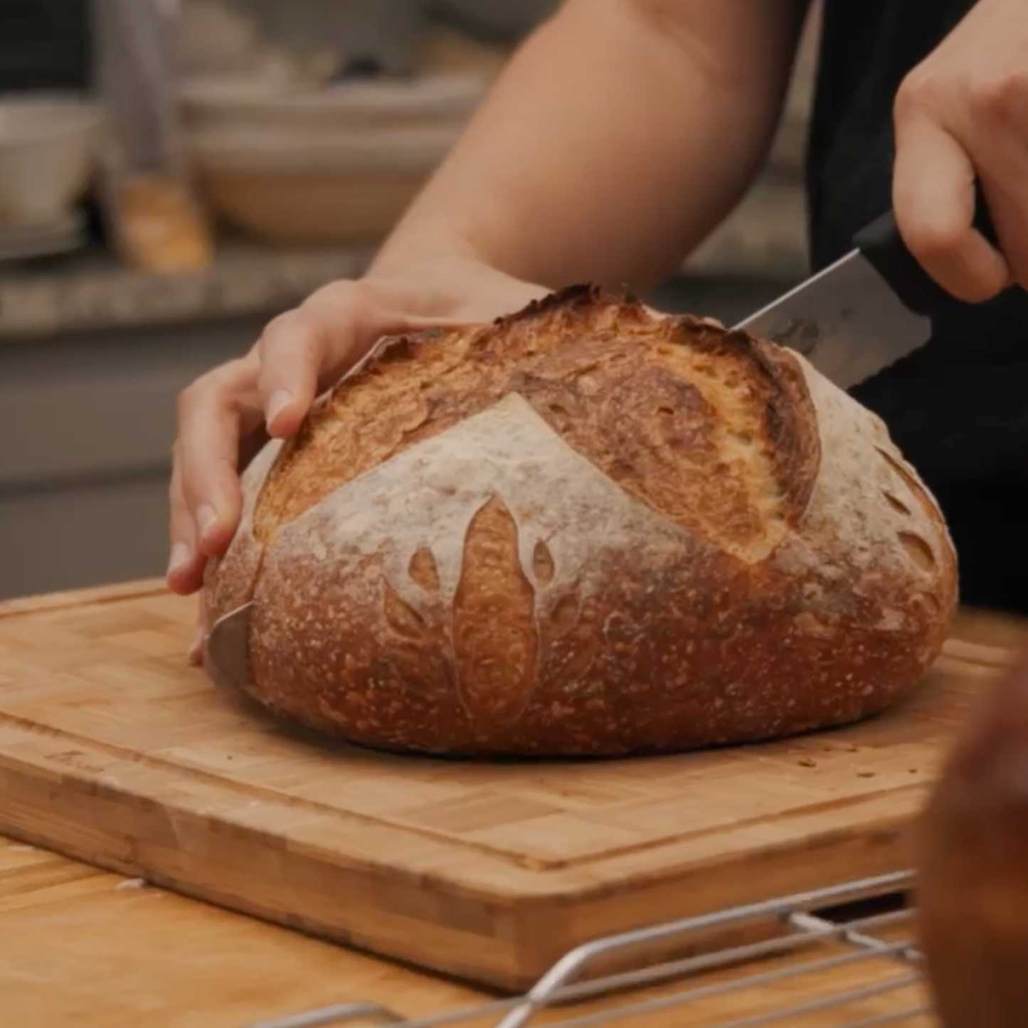 The Sourdough Switch Course